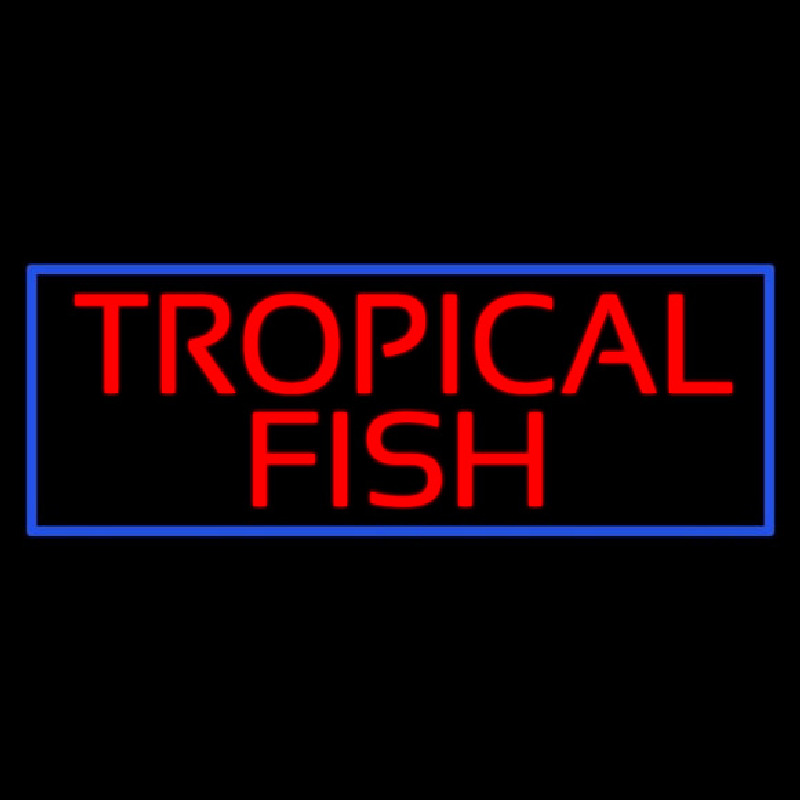tropical fish border
